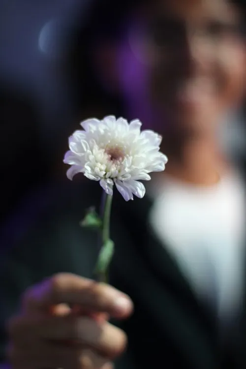 Flower AYC photography