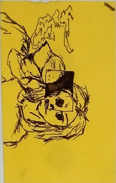 Half skull drawing
